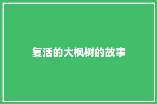 复活的大枫树的故事