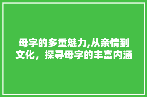 母字的多重魅力,从亲情到文化，探寻母字的丰富内涵