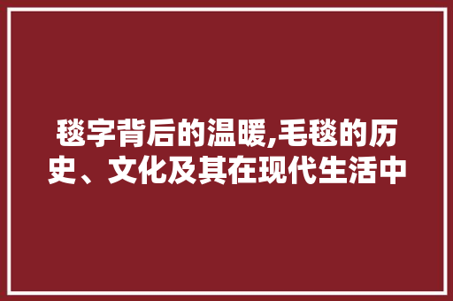 毯字背后的温暖,毛毯的历史、文化及其在现代生活中的意义