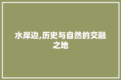 水岸边,历史与自然的交融之地 简历模板