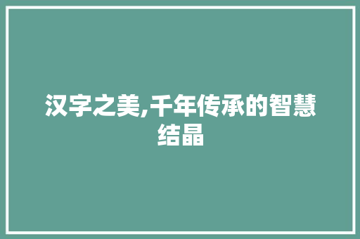 汉字之美,千年传承的智慧结晶 范文赏析