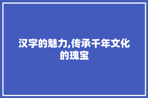 汉字的魅力,传承千年文化的瑰宝