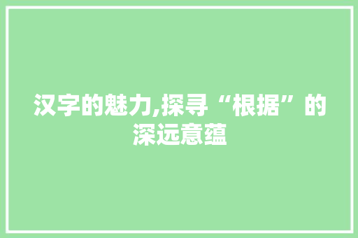 汉字的魅力,探寻“根据”的深远意蕴