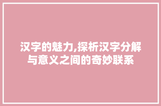 汉字的魅力,探析汉字分解与意义之间的奇妙联系 范文赏析