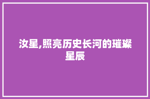 汝星,照亮历史长河的璀璨星辰 商业文案