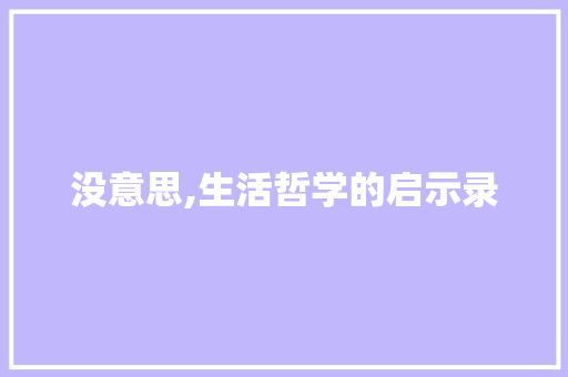 没意思,生活哲学的启示录
