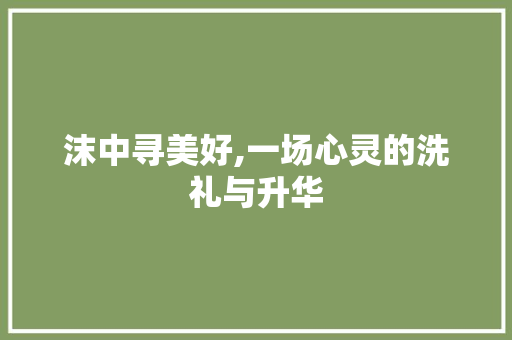 沫中寻美好,一场心灵的洗礼与升华 报告写作