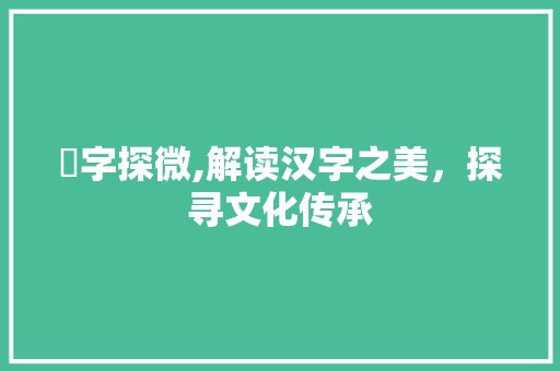 泈字探微,解读汉字之美，探寻文化传承