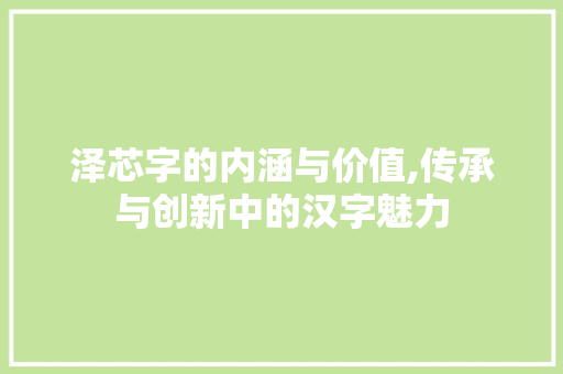 泽芯字的内涵与价值,传承与创新中的汉字魅力