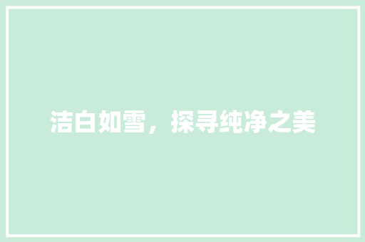 洁白如雪，探寻纯净之美 简历模板