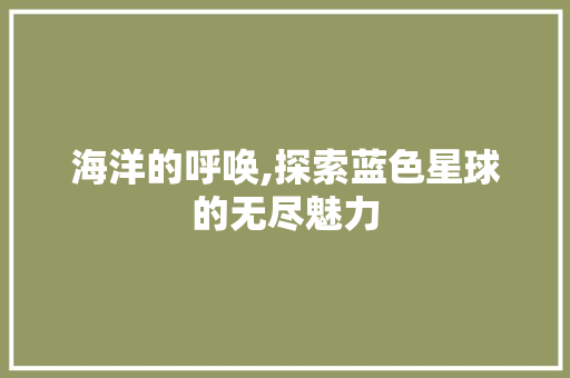 海洋的呼唤,探索蓝色星球的无尽魅力