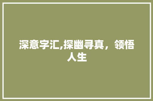 深意字汇,探幽寻真，领悟人生 报告写作