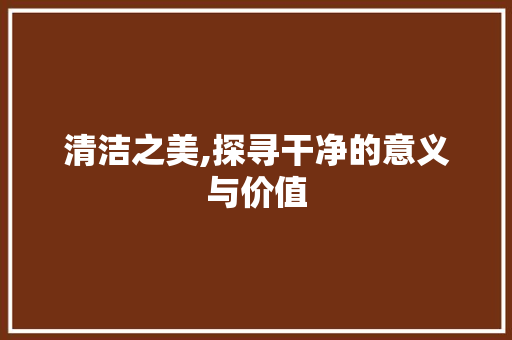 清洁之美,探寻干净的意义与价值 词汇积累
