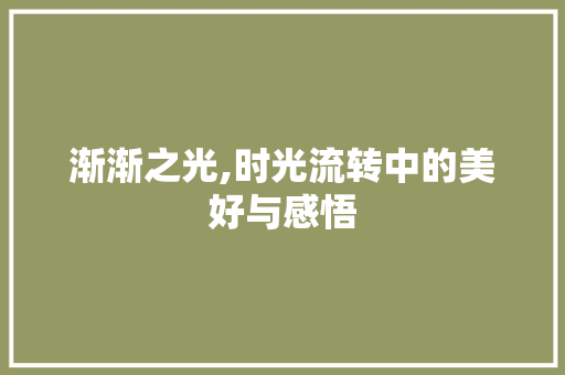渐渐之光,时光流转中的美好与感悟 报告写作