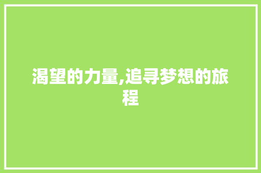 渴望的力量,追寻梦想的旅程