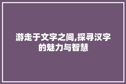 游走于文字之间,探寻汉字的魅力与智慧