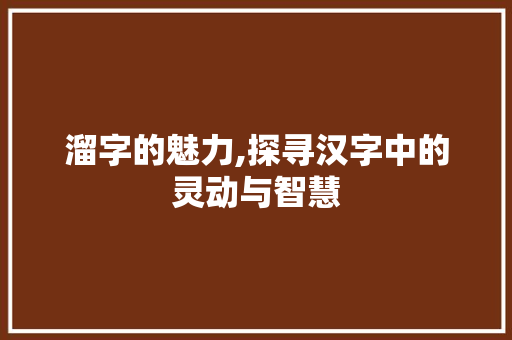 溜字的魅力,探寻汉字中的灵动与智慧 词汇积累