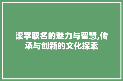 滚字取名的魅力与智慧,传承与创新的文化探索 简历模板