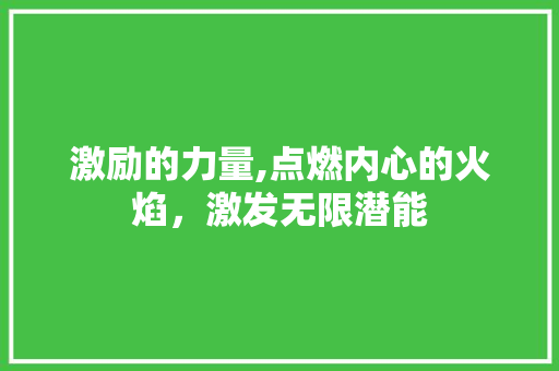 激励的力量,点燃内心的火焰，激发无限潜能 写作素材