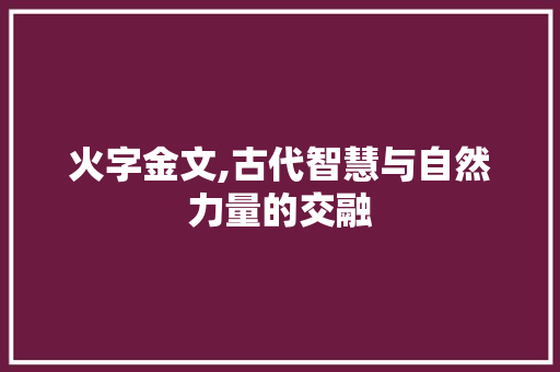 火字金文,古代智慧与自然力量的交融