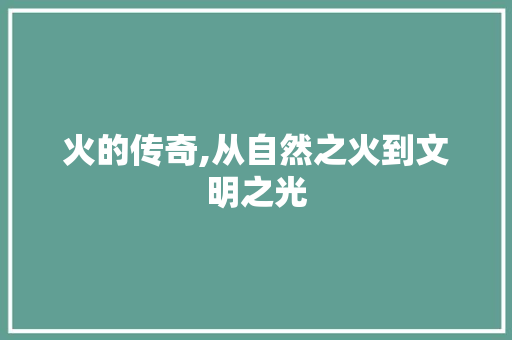 火的传奇,从自然之火到文明之光 写作技巧