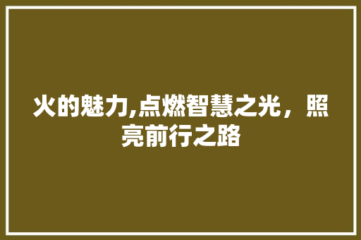 火的魅力,点燃智慧之光，照亮前行之路