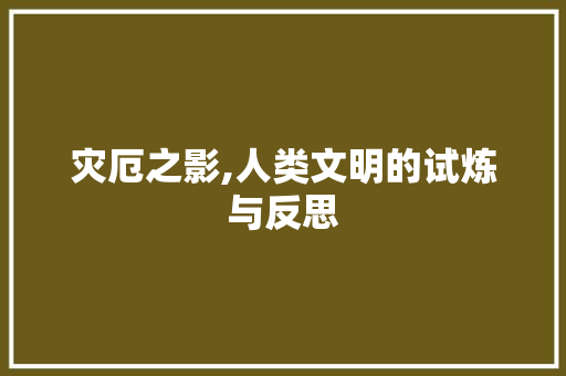 灾厄之影,人类文明的试炼与反思