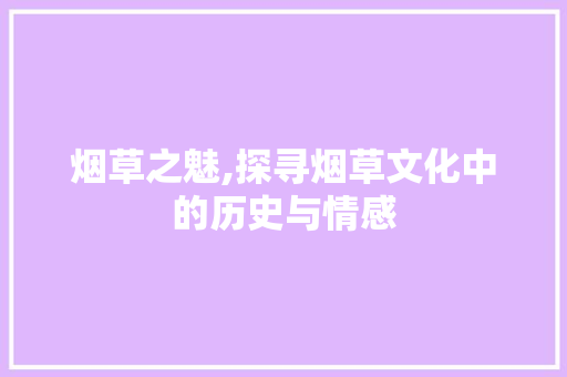 烟草之魅,探寻烟草文化中的历史与情感