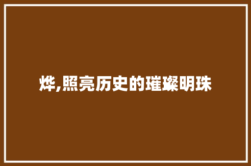 烨,照亮历史的璀璨明珠 写作技巧