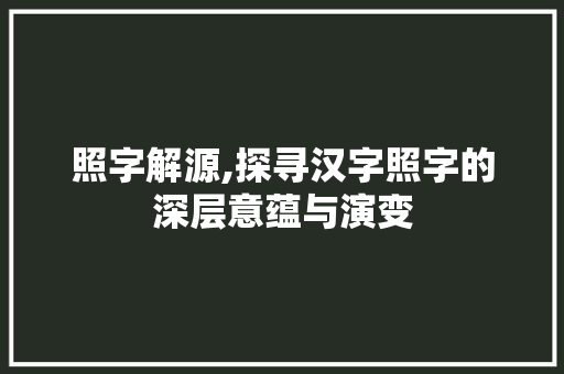 照字解源,探寻汉字照字的深层意蕴与演变