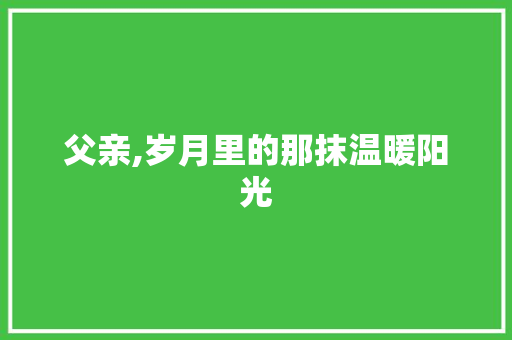 父亲,岁月里的那抹温暖阳光