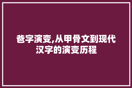 爸字演变,从甲骨文到现代汉字的演变历程