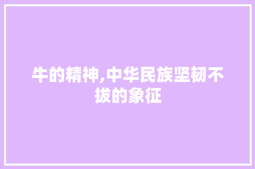 牛的精神,中华民族坚韧不拔的象征