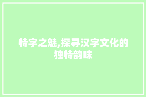 特字之魅,探寻汉字文化的独特韵味 商业文案