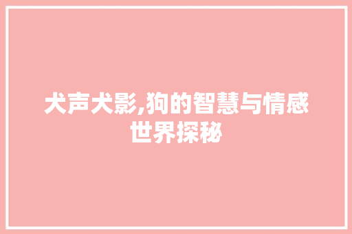 犬声犬影,狗的智慧与情感世界探秘 写作技巧