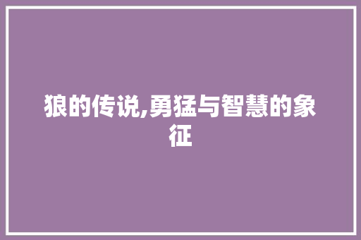 狼的传说,勇猛与智慧的象征