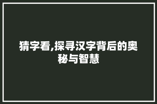 猜字看,探寻汉字背后的奥秘与智慧