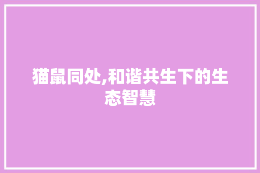 猫鼠同处,和谐共生下的生态智慧 报告写作