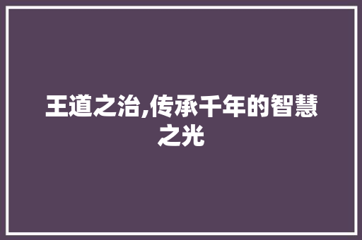 王道之治,传承千年的智慧之光 词汇积累