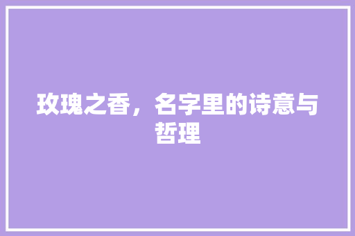 玫瑰之香，名字里的诗意与哲理