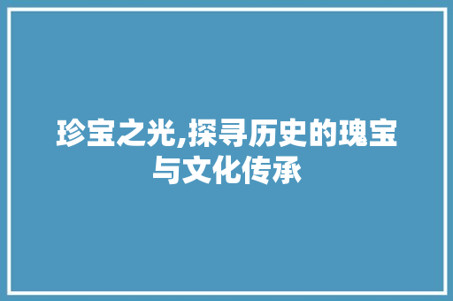 珍宝之光,探寻历史的瑰宝与文化传承