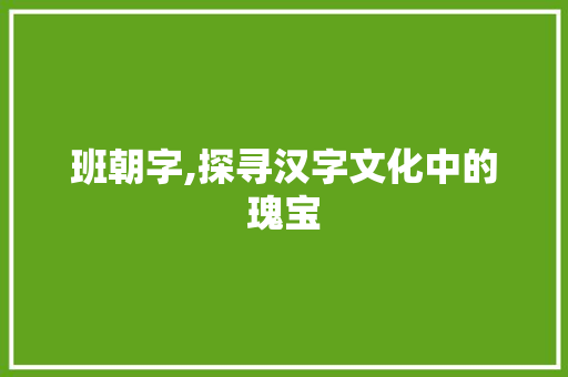 班朝字,探寻汉字文化中的瑰宝