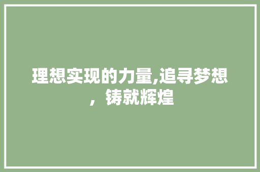 理想实现的力量,追寻梦想，铸就辉煌 词汇积累