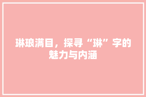 琳琅满目，探寻“琳”字的魅力与内涵