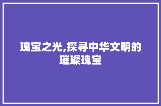 瑰宝之光,探寻中华文明的璀璨瑰宝 范文赏析