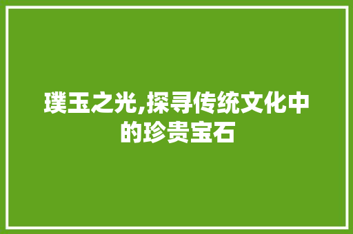 璞玉之光,探寻传统文化中的珍贵宝石 简历模板