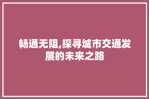 畅通无阻,探寻城市交通发展的未来之路