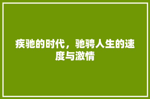 疾驰的时代，驰骋人生的速度与激情