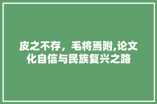 皮之不存，毛将焉附,论文化自信与民族复兴之路