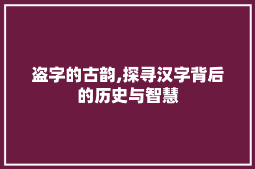 盗字的古韵,探寻汉字背后的历史与智慧